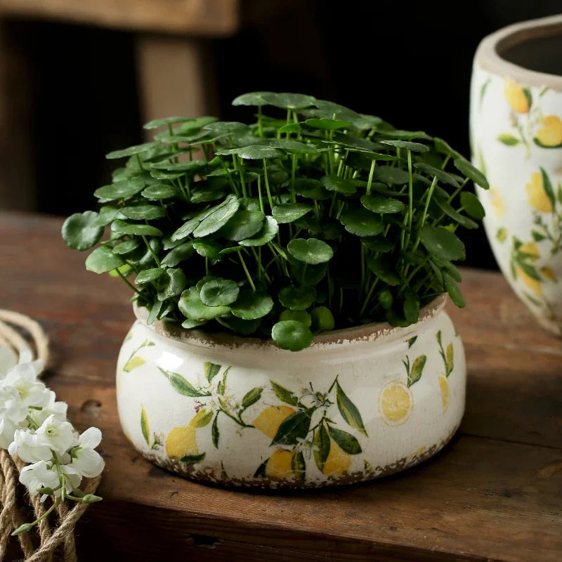 Lemon Flower Vase Retro Vintage Ceramic Creativity Nordic French Gardening Green Plants Table Decorations Hydroponics